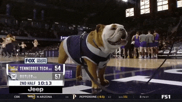 GIF by Butler University