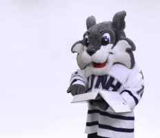 reading wildcats GIF by University of New Hampshire