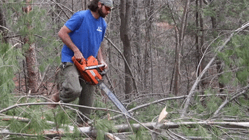 Pine Tree Chainsaw GIF by JC Property Professionals
