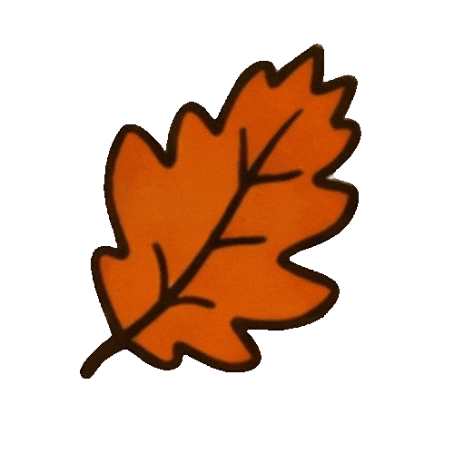 Augustoyantonela Sticker by Explora la Magia
