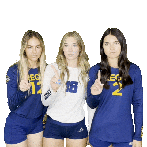 Regis University Volleyball Sticker