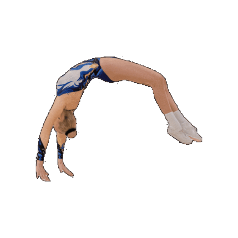 Aerobic Sticker by Seinäjoenvoimistelijat