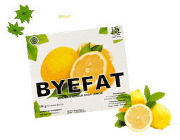 Weight Loss Diet Sticker by PT RICU PERKASA UTAMA