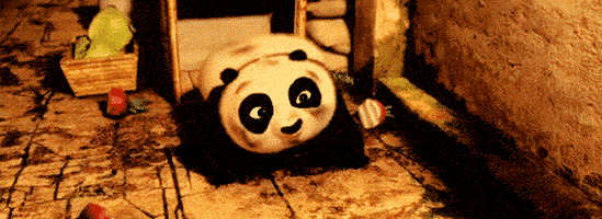 kung fu panda baby GIF