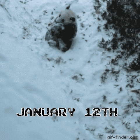 12 january
