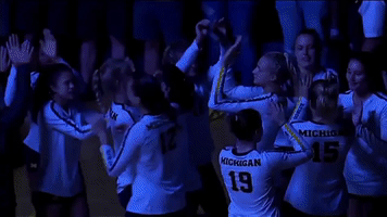 high fives michigan volleyball GIF by Michigan Athletics