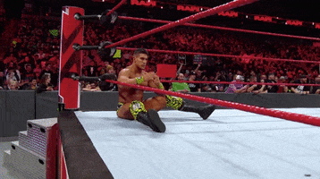 oh no what GIF by WWE