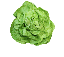 Food Love Sticker by vegpan