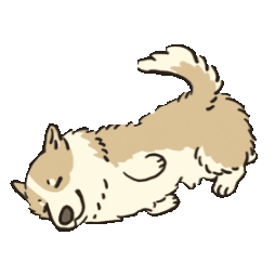 Dog Corgi Sticker