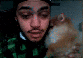 Travis Mccoy Joetrick GIF