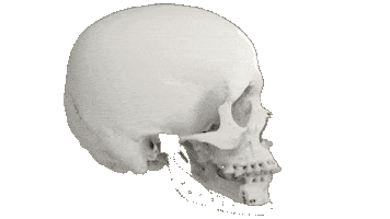 Sticker by Materialise Brasil