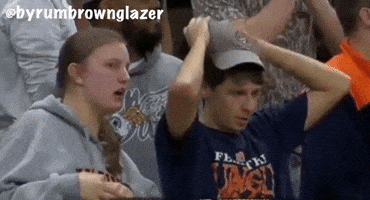 War Eagle Auburn Baseball GIF