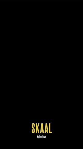 SKAAL_cph GIF