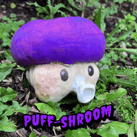 Plants Vs Zombies Peashooter GIF