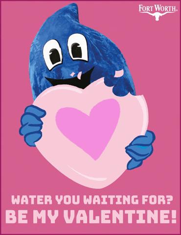 Valentines Day Love GIF by Fort Worth Water
