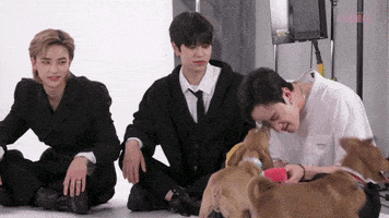 Stray Kids Stay GIF by BuzzFeed