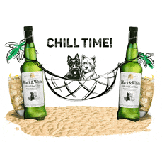 Drink Beach GIF by Black & White India