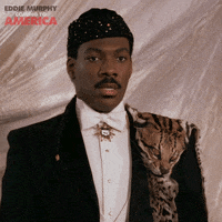 Eddie Murphy GIF by Coming to America