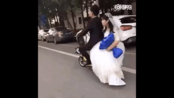 rickshawali newton's first law GIF