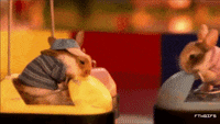 200w.gif