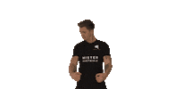 Roman Schindler Sticker
