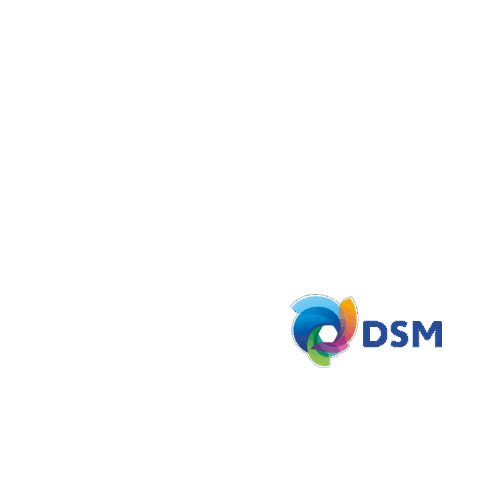 DSM Latam Sticker