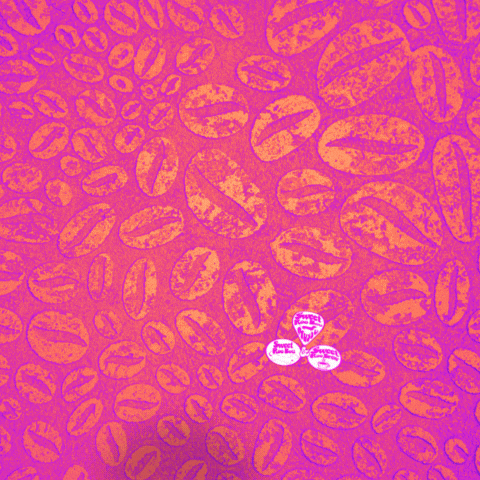 SweetRooBou GIF
