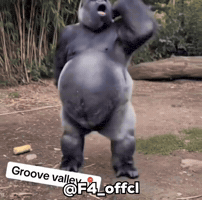 Monkey Dance GIF