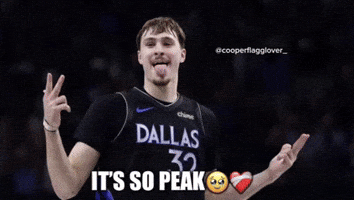 Dallas Mavericks GIF
