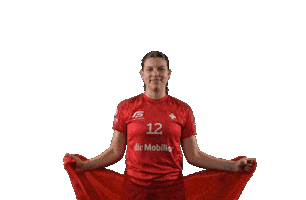 Celebration Switzerland Sticker by swiss unihockey