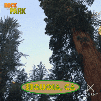 National Park California GIF by Ovation TV