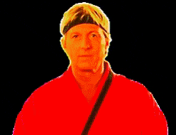 Cobra Kai GIF