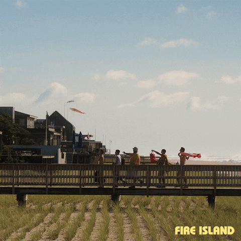Fire Island Fun GIF by Searchlight Pictures