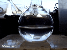 keemyaay  GIF