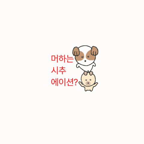 Ttonggae GIF