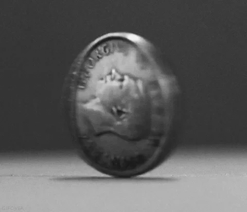 Heads Or Tails Spinning GIF