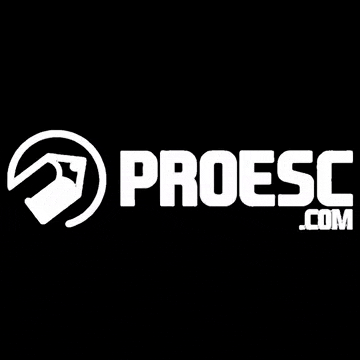 proesc.com GIF