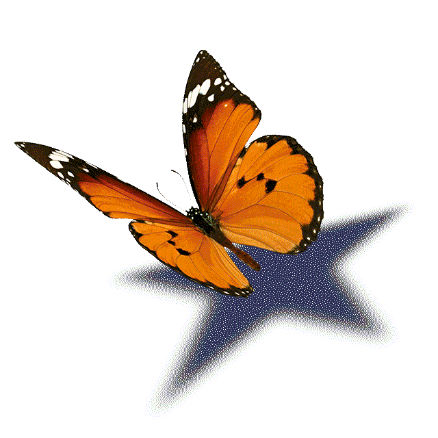 La Ventana Cine Sticker