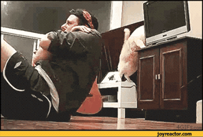200.gif