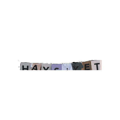Haysiyet Sticker by Kanal D