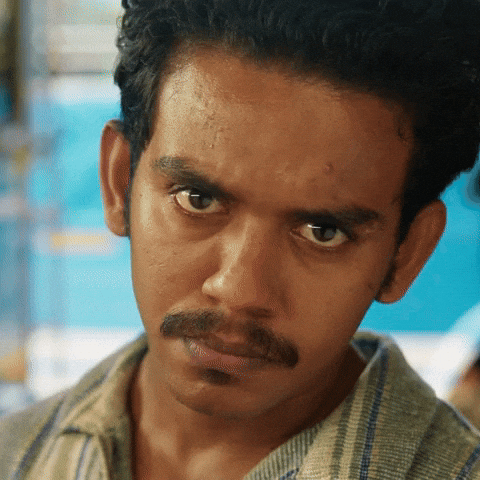 Mollywood GIF