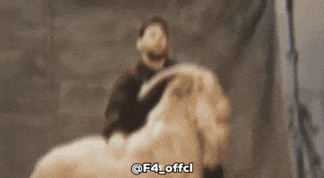 Goat Messi GIF