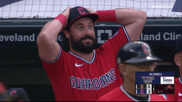 Austin Hedges What GIF by MLB
