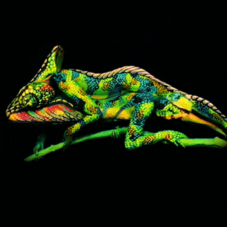 chameleon GIF