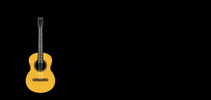 Levitt Pavilion Arlington GIF