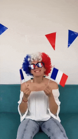 Video gif. A woman sitting on a coach wears a curly wig in the French flag colors as well as sunglasses that has lenses made to look like the flag. She has a big smile on her face as she waves two French flags in the air. 