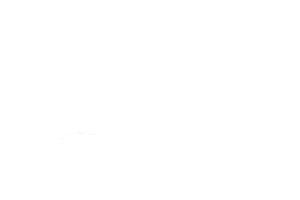 Festival Logo Sticker