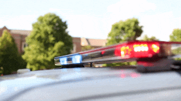 police car GIF by Roanoke College