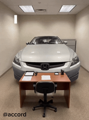 New Job Interview GIF