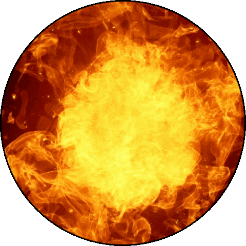 Sticker by Frigorifico Paladar